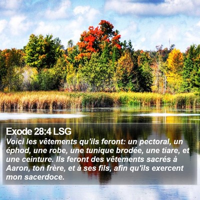 Exode 28:4 LSG Bible Verse Image