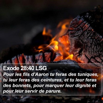 Exode 28:40 LSG Bible Verse Image