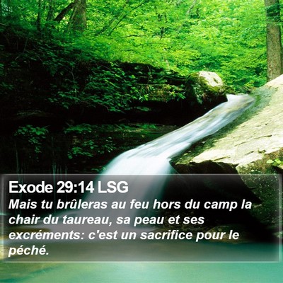 Exode 29:14 LSG Bible Verse Image
