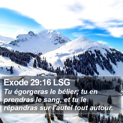 Exode 29:16 LSG Bible Verse Image