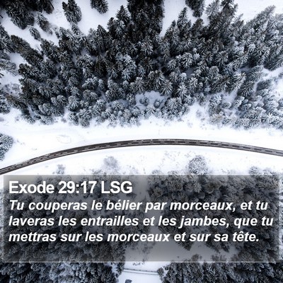 Exode 29:17 LSG Bible Verse Image