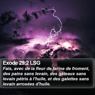 Exode 29:2 LSG Bible Verse Image