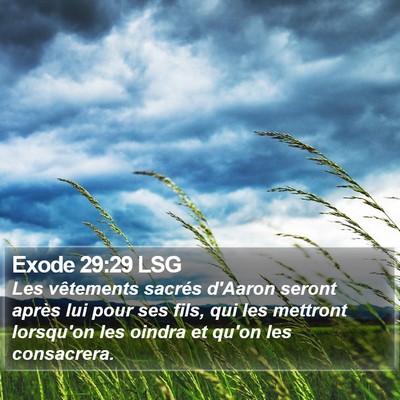Exode 29:29 LSG Bible Verse Image