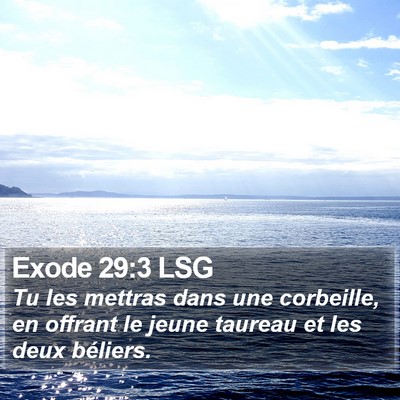 Exode 29:3 LSG Bible Verse Image