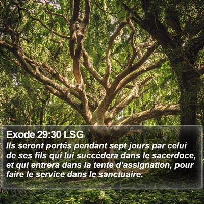 Exode 29:30 LSG Bible Verse Image