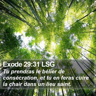 Exode 29:31 LSG Bible Verse Image