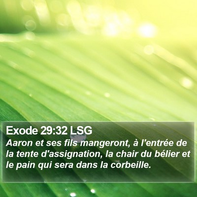 Exode 29:32 LSG Bible Verse Image
