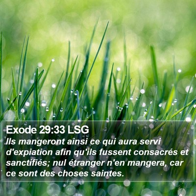 Exode 29:33 LSG Bible Verse Image
