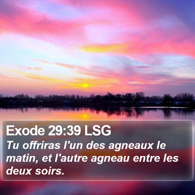 Exode 29:39 LSG Bible Verse Image