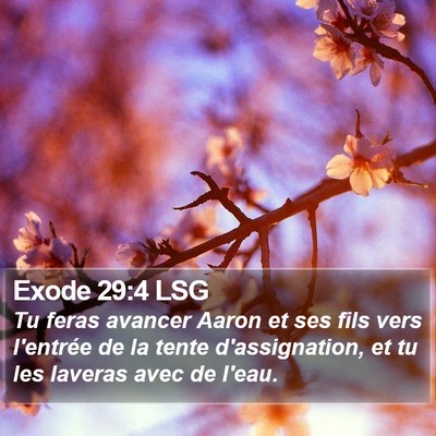 Exode 29:4 LSG Bible Verse Image