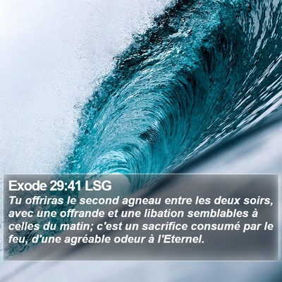 Exode 29:41 LSG Bible Verse Image