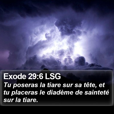 Exode 29:6 LSG Bible Verse Image