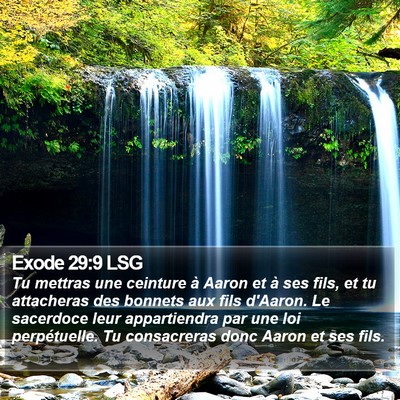 Exode 29:9 LSG Bible Verse Image