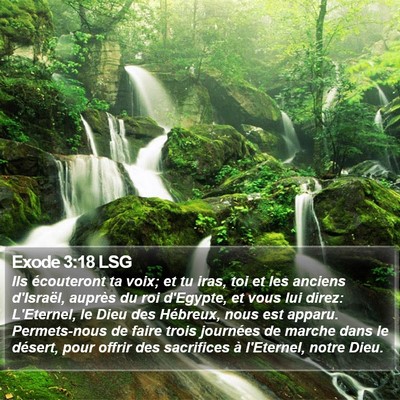 Exode 3:18 LSG Bible Verse Image