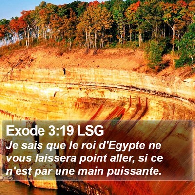 Exode 3:19 LSG Bible Verse Image