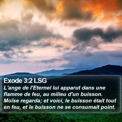Exode 3:2 LSG Bible Verse Image