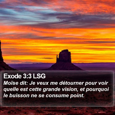 Exode 3:3 LSG Bible Verse Image