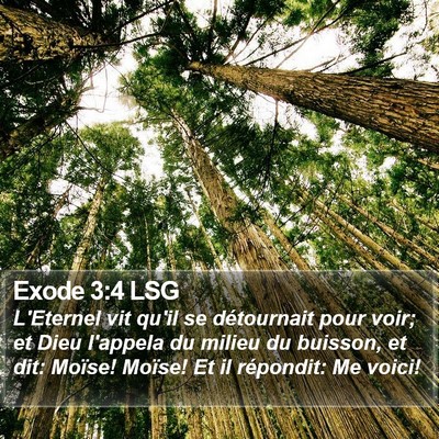 Exode 3:4 LSG Bible Verse Image