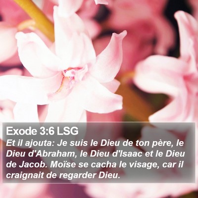 Exode 3:6 LSG Bible Verse Image