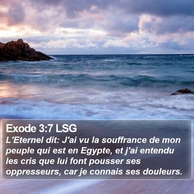 Exode 3:7 LSG Bible Verse Image