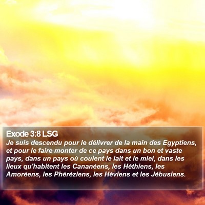 Exode 3:8 LSG Bible Verse Image