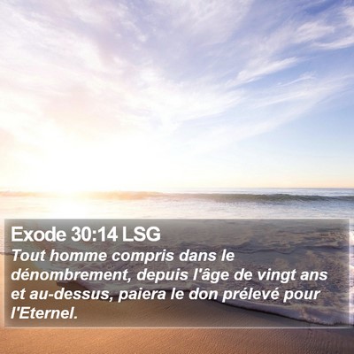 Exode 30:14 LSG Bible Verse Image