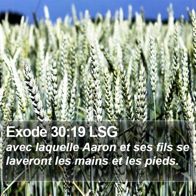 Exode 30:19 LSG Bible Verse Image