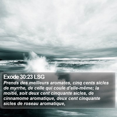 Exode 30:23 LSG Bible Verse Image
