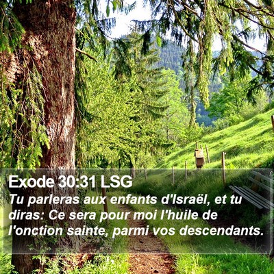 Exode 30:31 LSG Bible Verse Image
