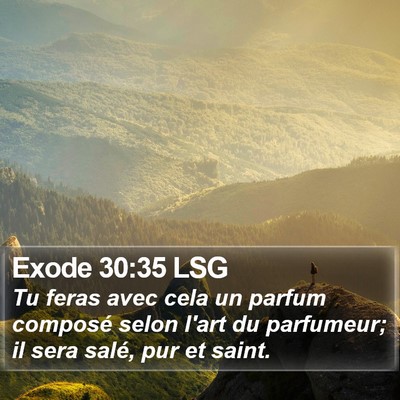 Exode 30:35 LSG Bible Verse Image