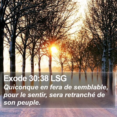 Exode 30:38 LSG Bible Verse Image