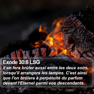 Exode 30:8 LSG Bible Verse Image