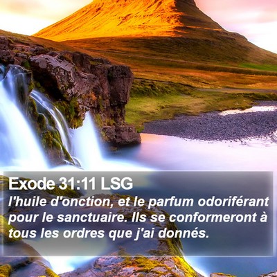 Exode 31:11 LSG Bible Verse Image