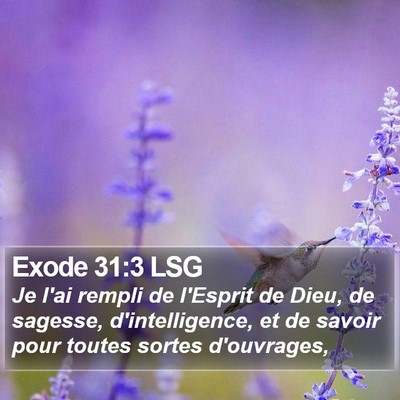 Exode 31:3 LSG Bible Verse Image