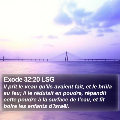 Exode 32:20 LSG Bible Verse Image