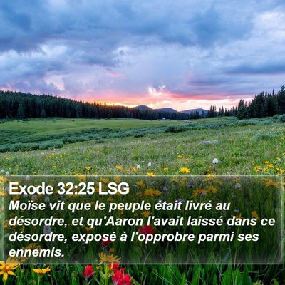 Exode 32:25 LSG Bible Verse Image
