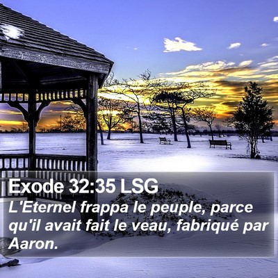 Exode 32:35 LSG Bible Verse Image
