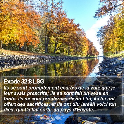Exode 32:8 LSG Bible Verse Image