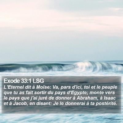 Exode 33:1 LSG Bible Verse Image