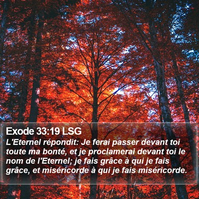 Exode 33:19 LSG Bible Verse Image