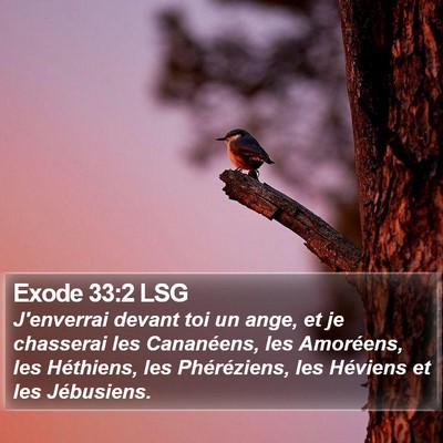 Exode 33:2 LSG Bible Verse Image