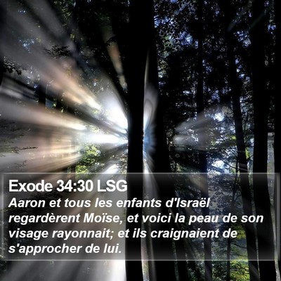 Exode 34:30 LSG Bible Verse Image