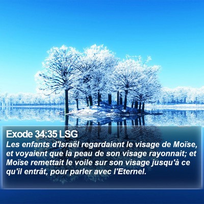 Exode 34:35 LSG Bible Verse Image
