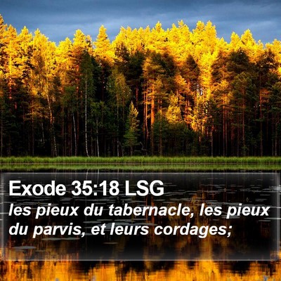 Exode 35:18 LSG Bible Verse Image