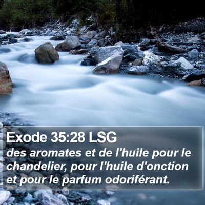 Exode 35:28 LSG Bible Verse Image