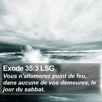 Exode 35:3 LSG Bible Verse Image
