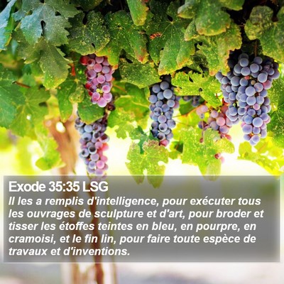 Exode 35:35 LSG Bible Verse Image