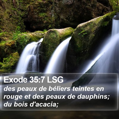 Exode 35:7 LSG Bible Verse Image
