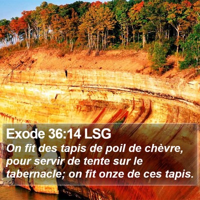 Exode 36:14 LSG Bible Verse Image