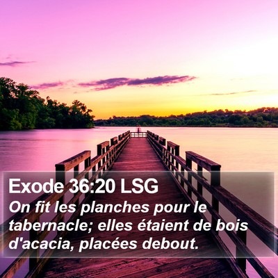Exode 36:20 LSG Bible Verse Image
